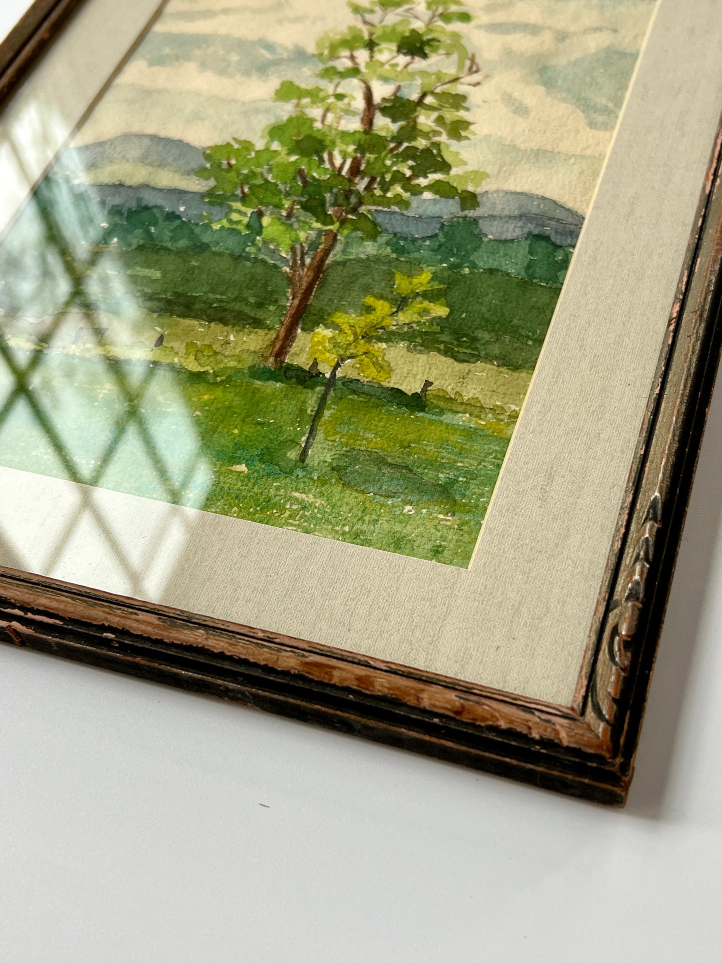 Antique Tree Landscape Watercolor Painintg in Carved Wood Frame