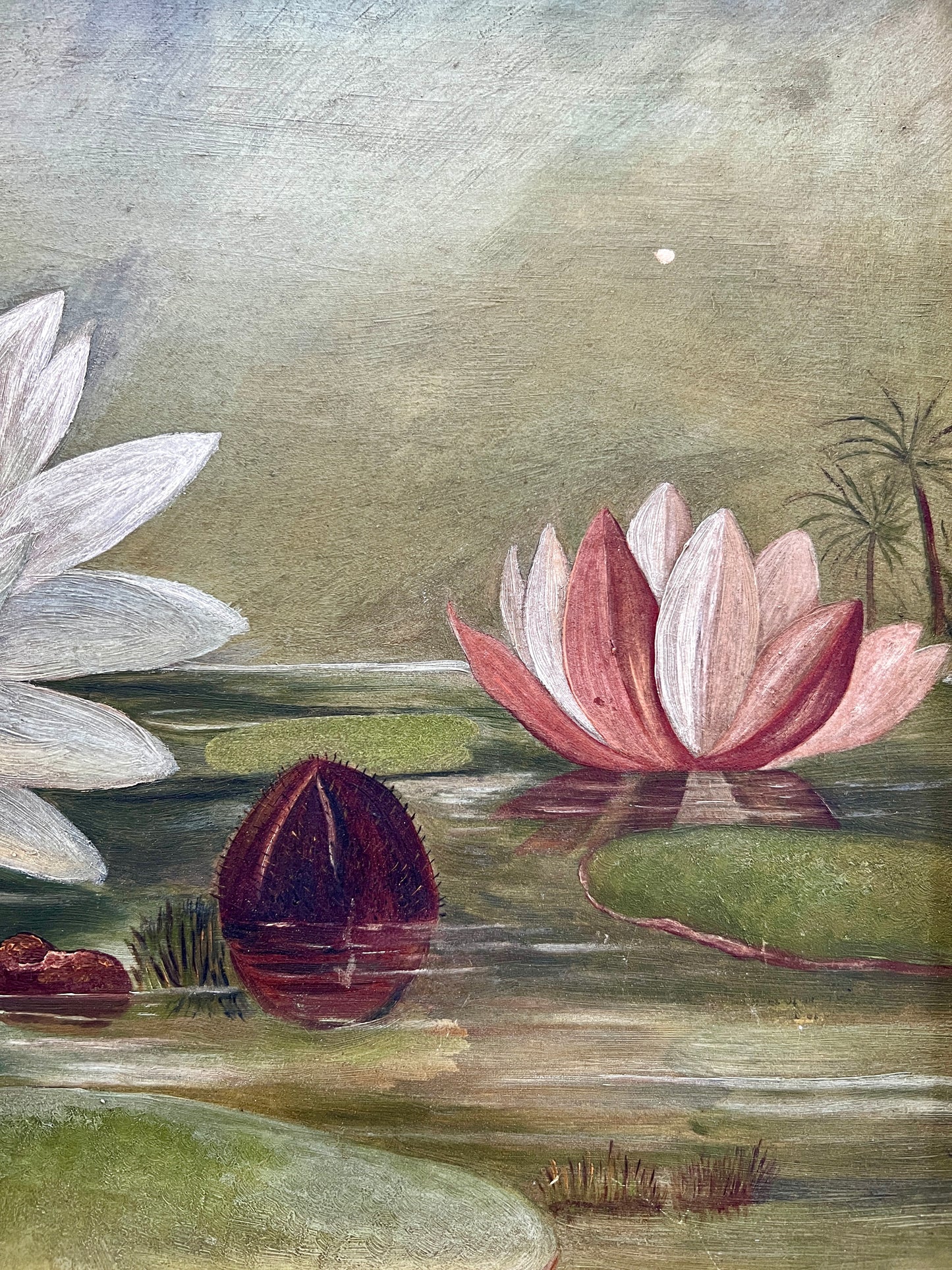 19th Century Lily Pads and Water Lilies Oil Painting in Gold Frame