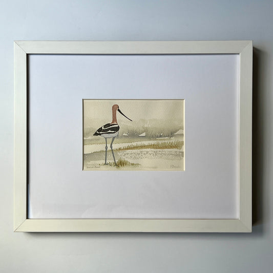 Polly French American Avocet Shore Bird Watercolor in White Wood Frame