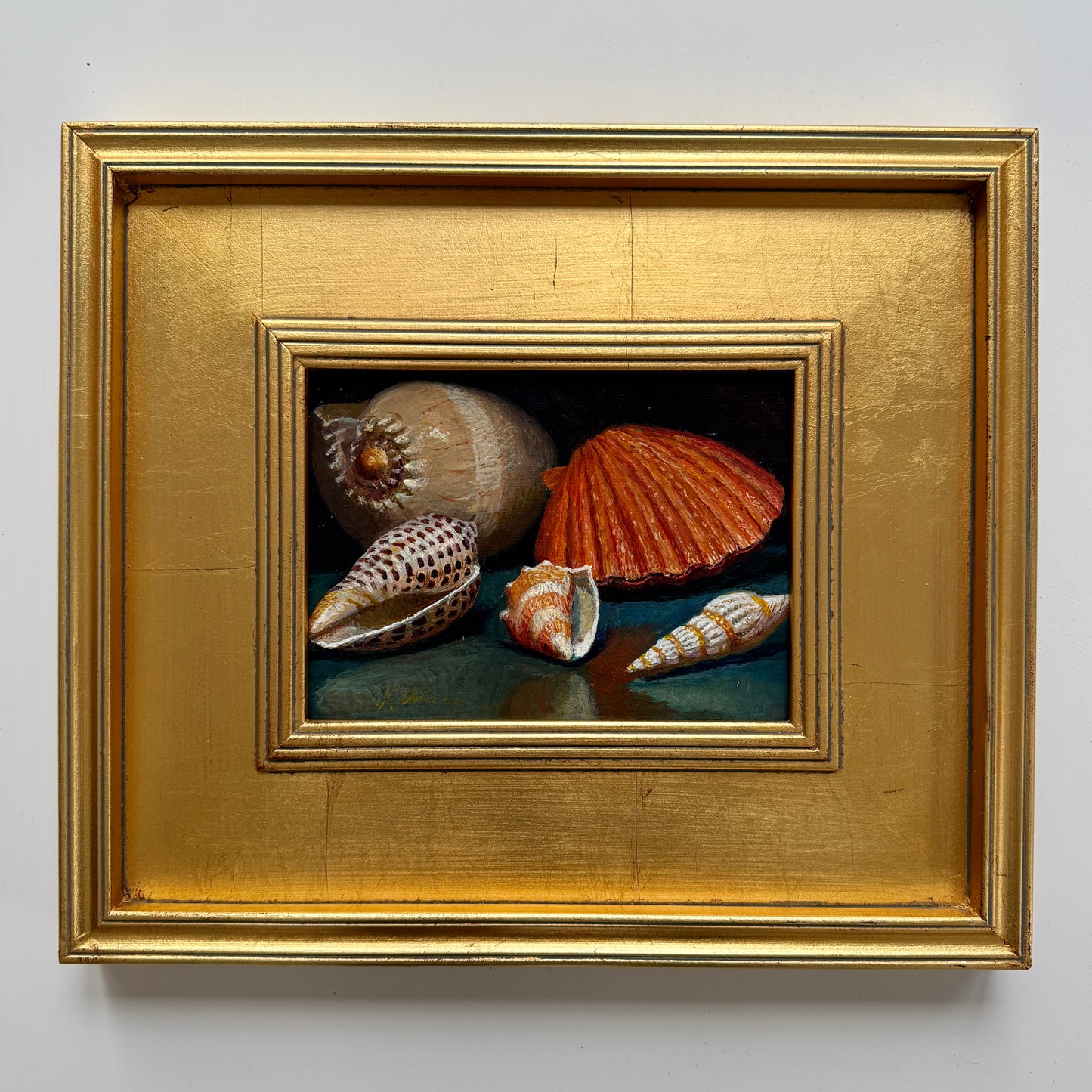 Nautilus Cowrie Scallop Seashells Still Life Oil Painting in Gold Frame