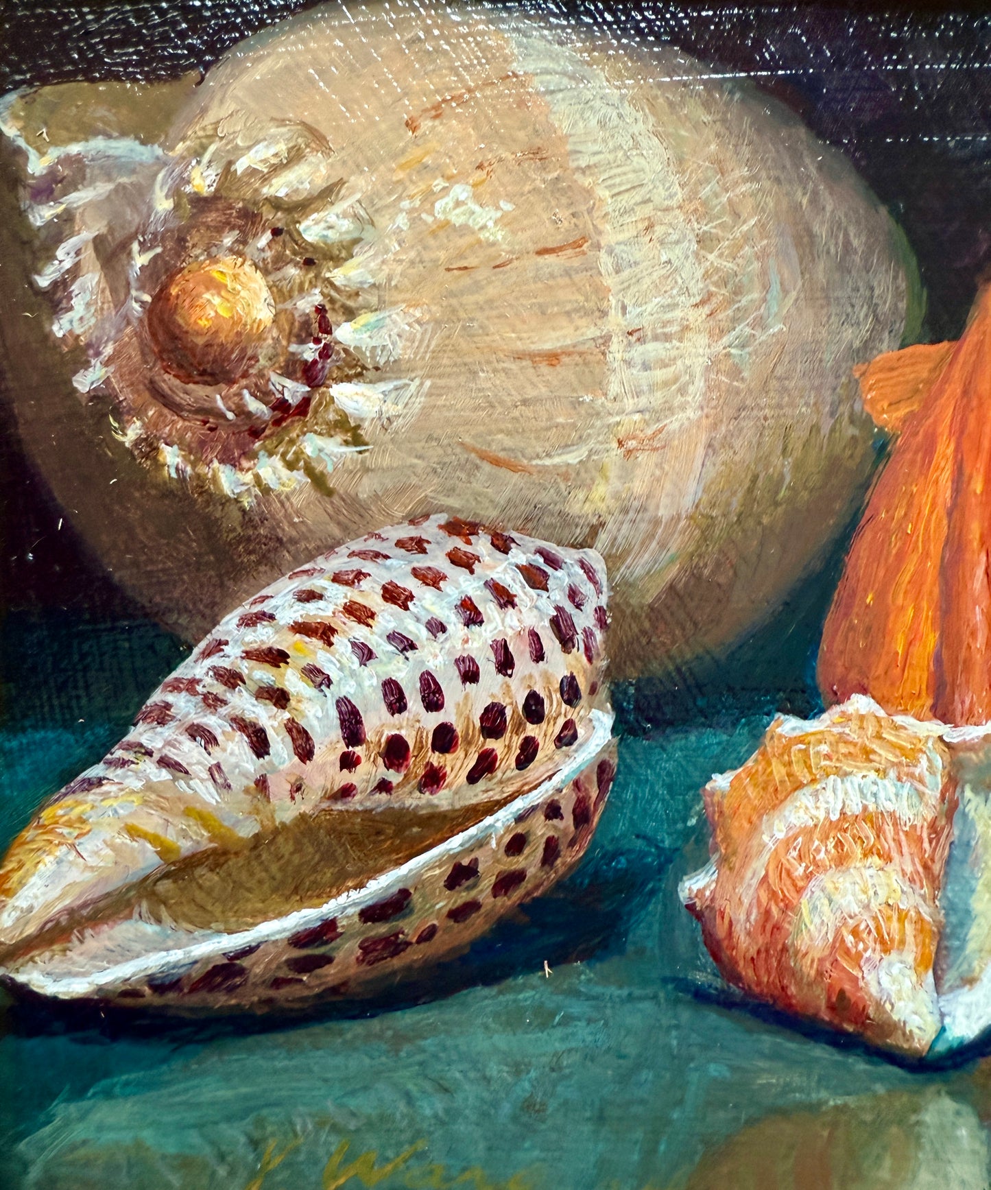 Nautilus Cowrie Scallop Seashells Still Life Oil Painting in Gold Frame