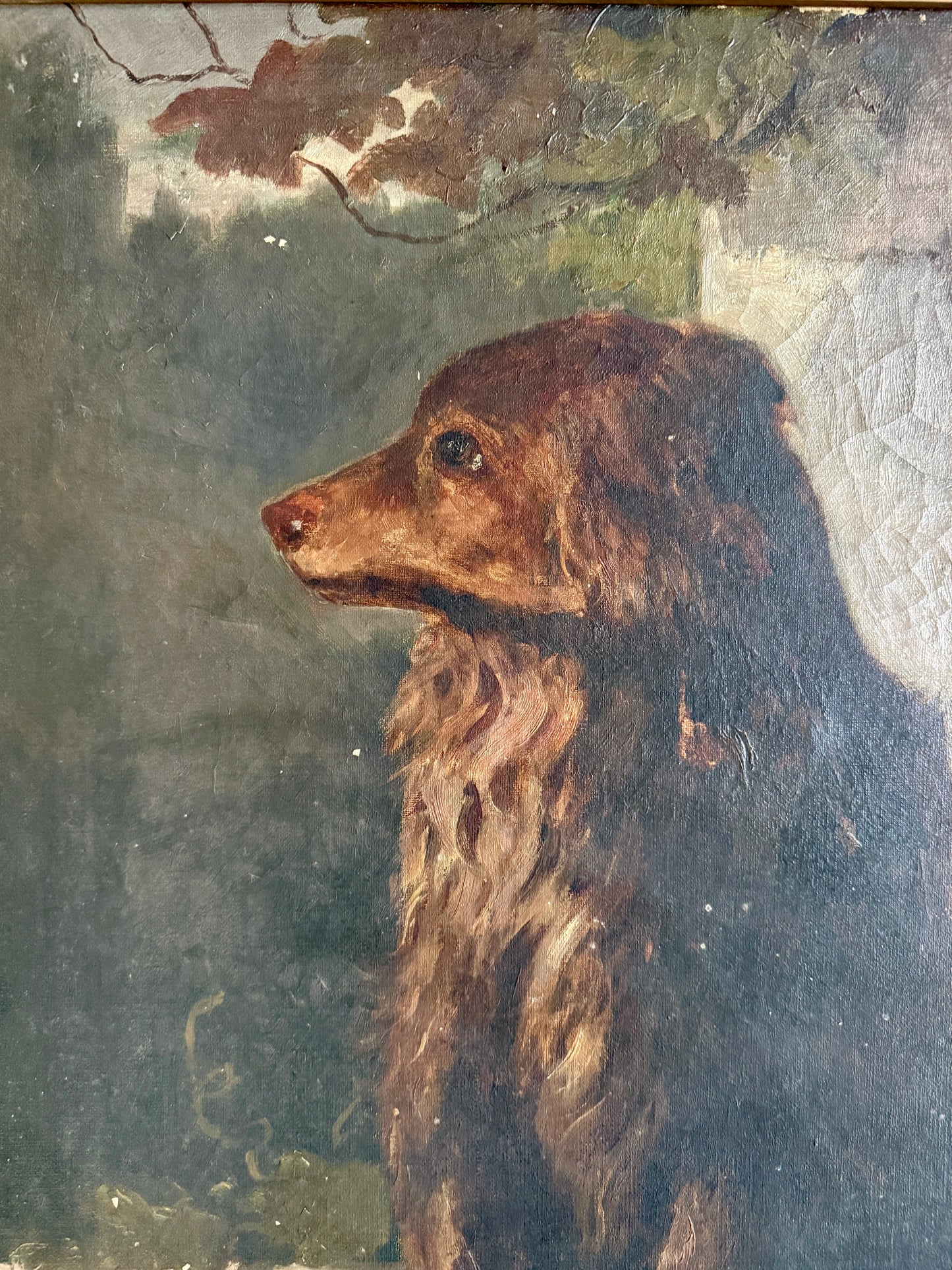 19th Century Dog Portrait Oil Painting in Original Carved Wood Frame